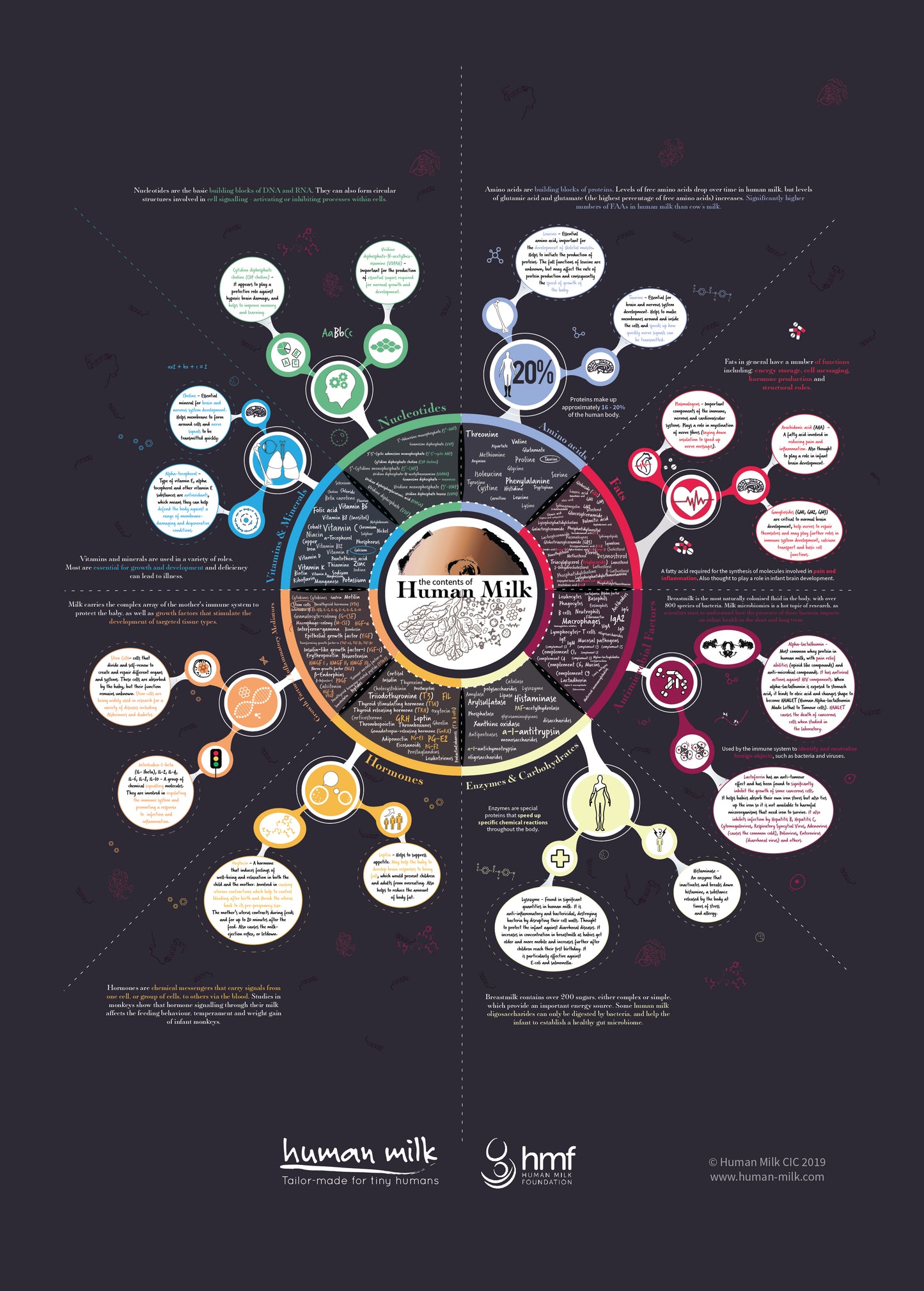 Poster "The Contents of Human Milk" infographic