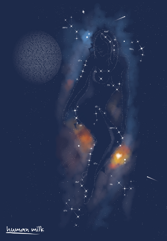 Poster "Constellation and Moon" A1 size
